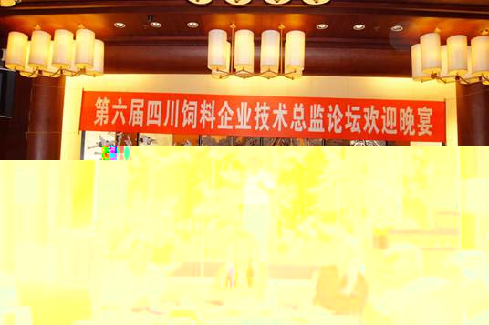 說明: E:\畜科\會議報道\20150731技術總監論壇\004.JPG