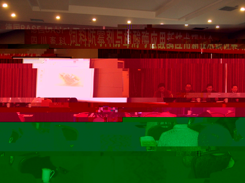 01.jpg