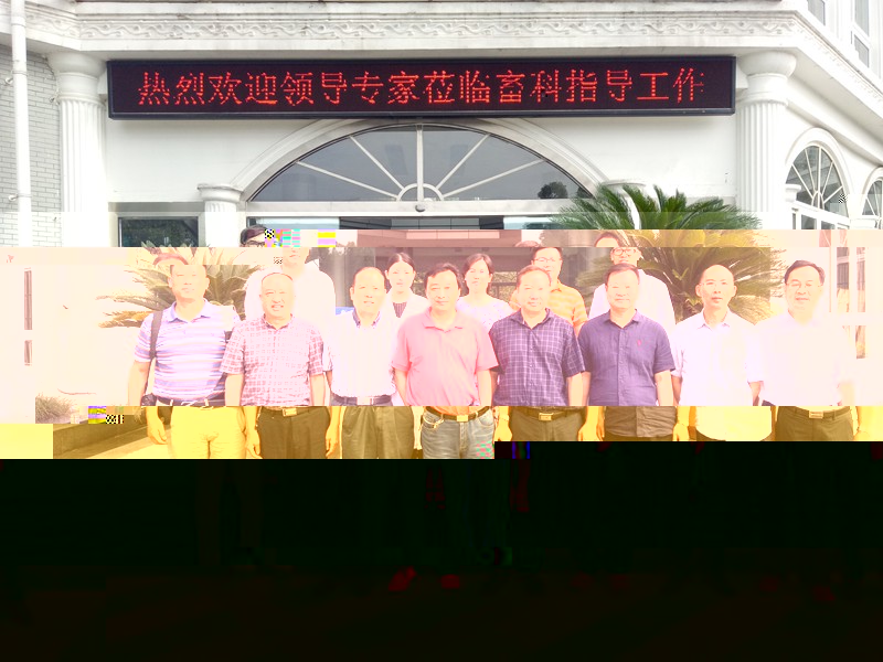 01.jpg