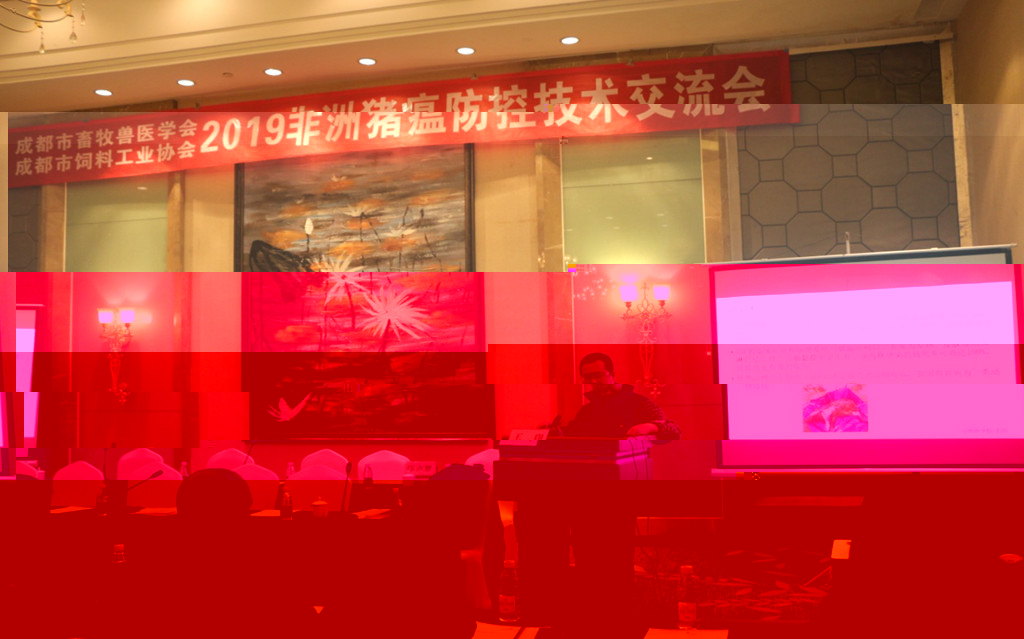 06.jpg