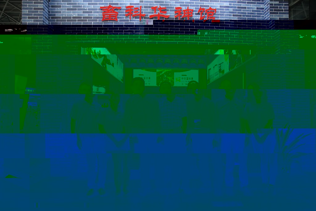 news03.jpg