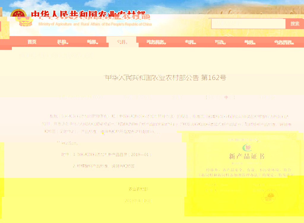 news06.jpg