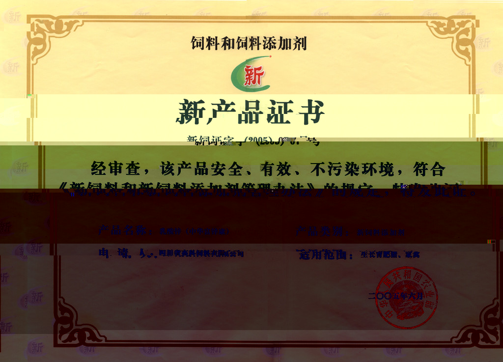 news06.jpg