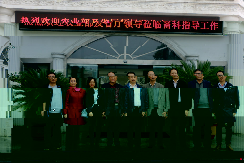 news01.jpg