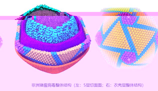 004.jpg