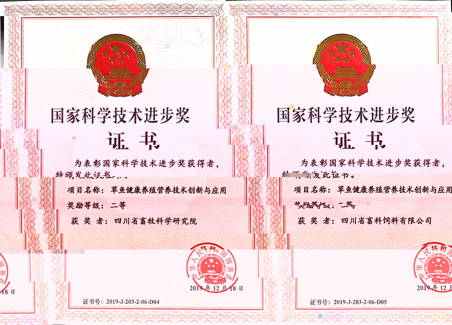 news03.jpg