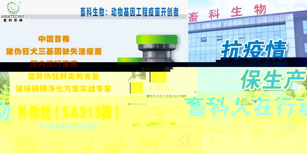 news04.jpg