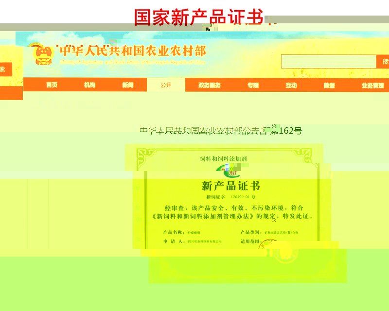news03.jpg