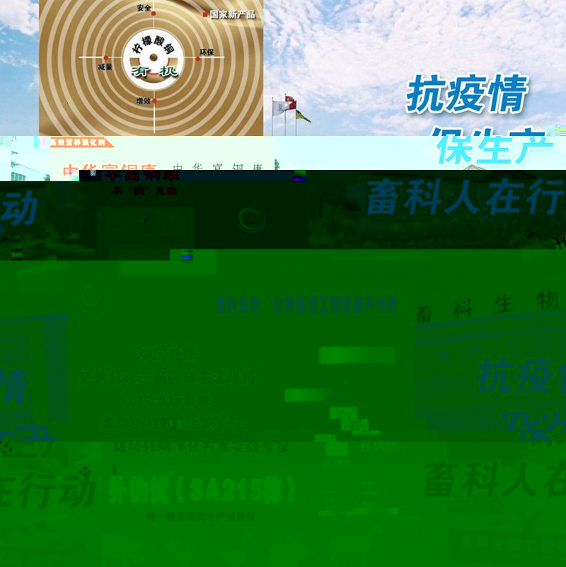 news04.jpg