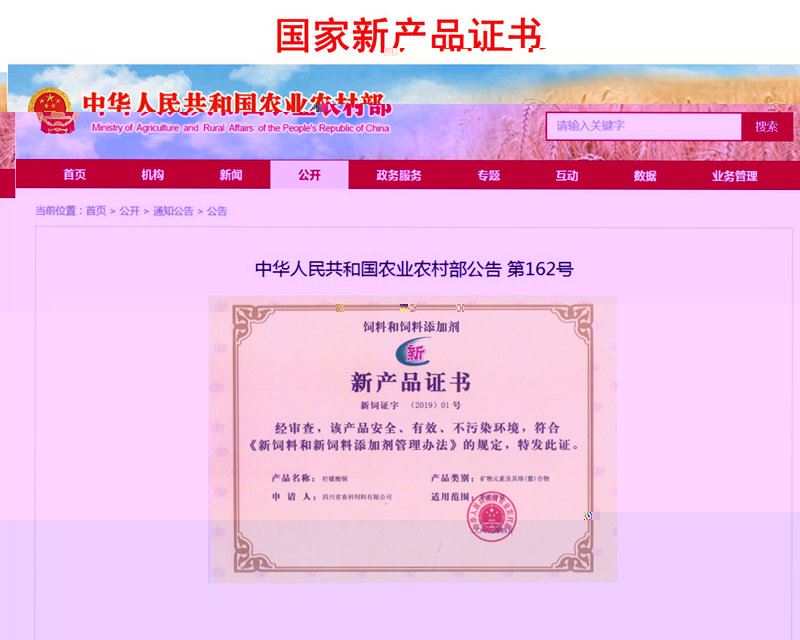 60328192_副本.jpg