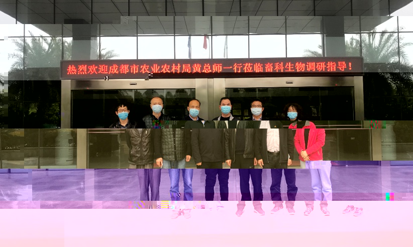 news02.jpg