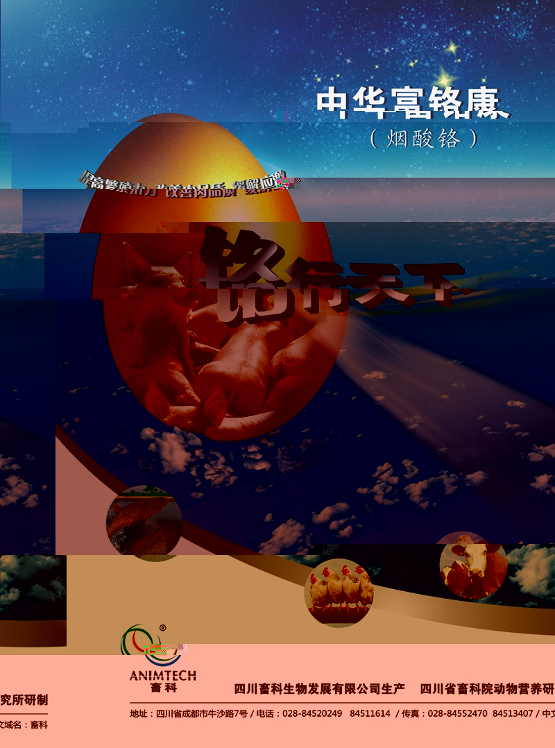 03.jpg