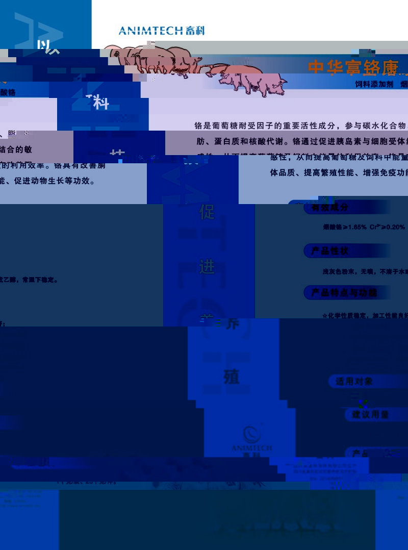 04.jpg