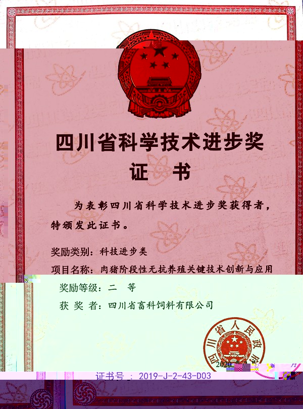 news02.jpg