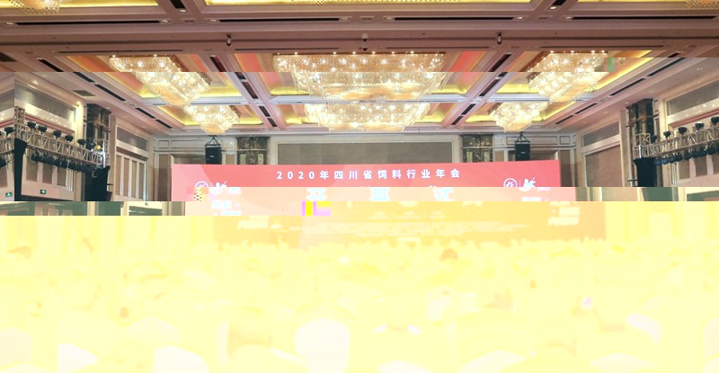 news01.jpg