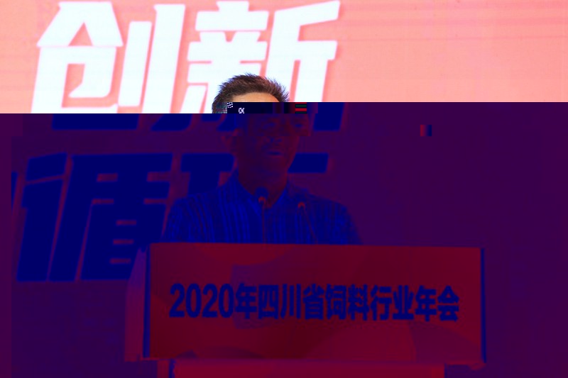 news04.jpg