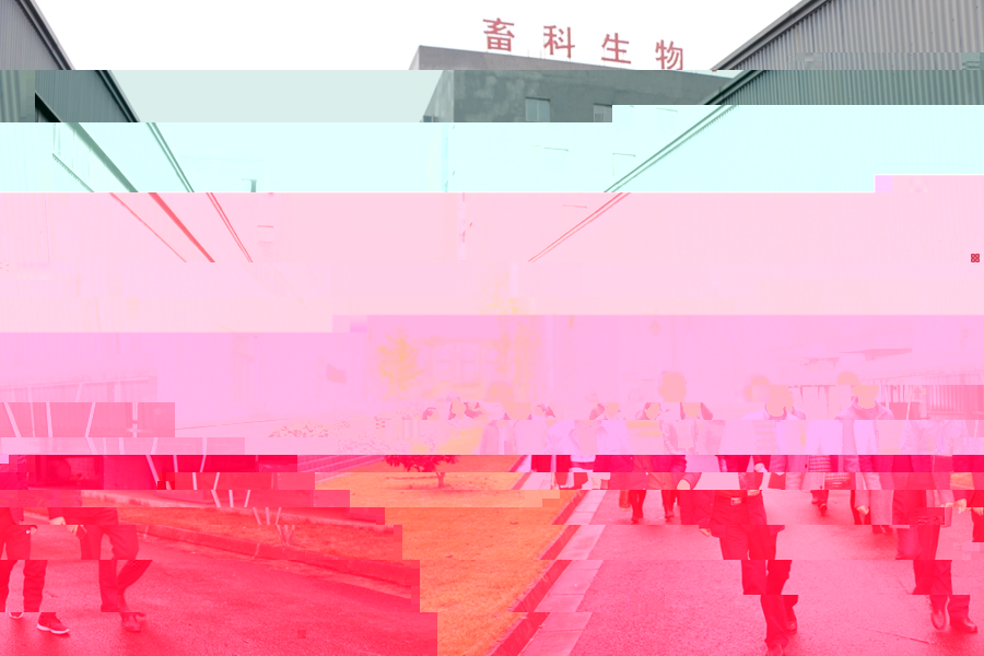news02.jpg