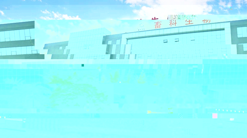 news08.jpg