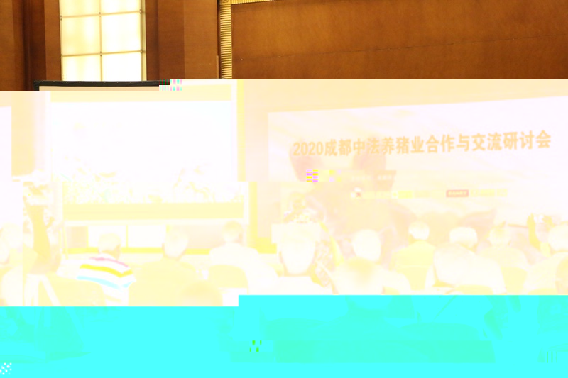 01.JPG