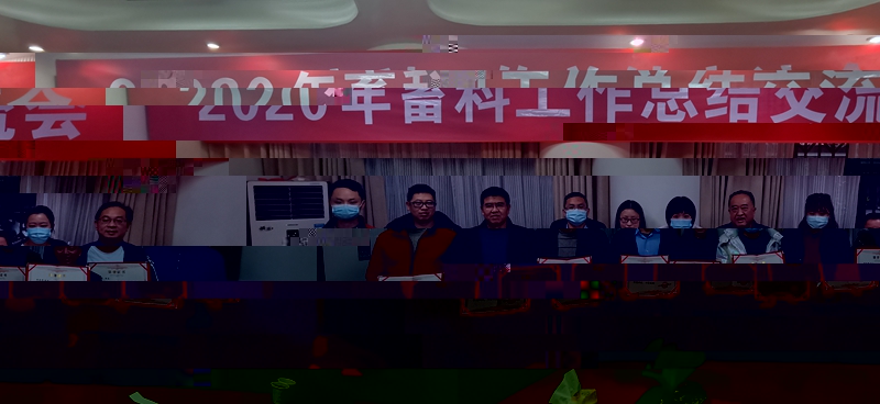 公司先進.jpg