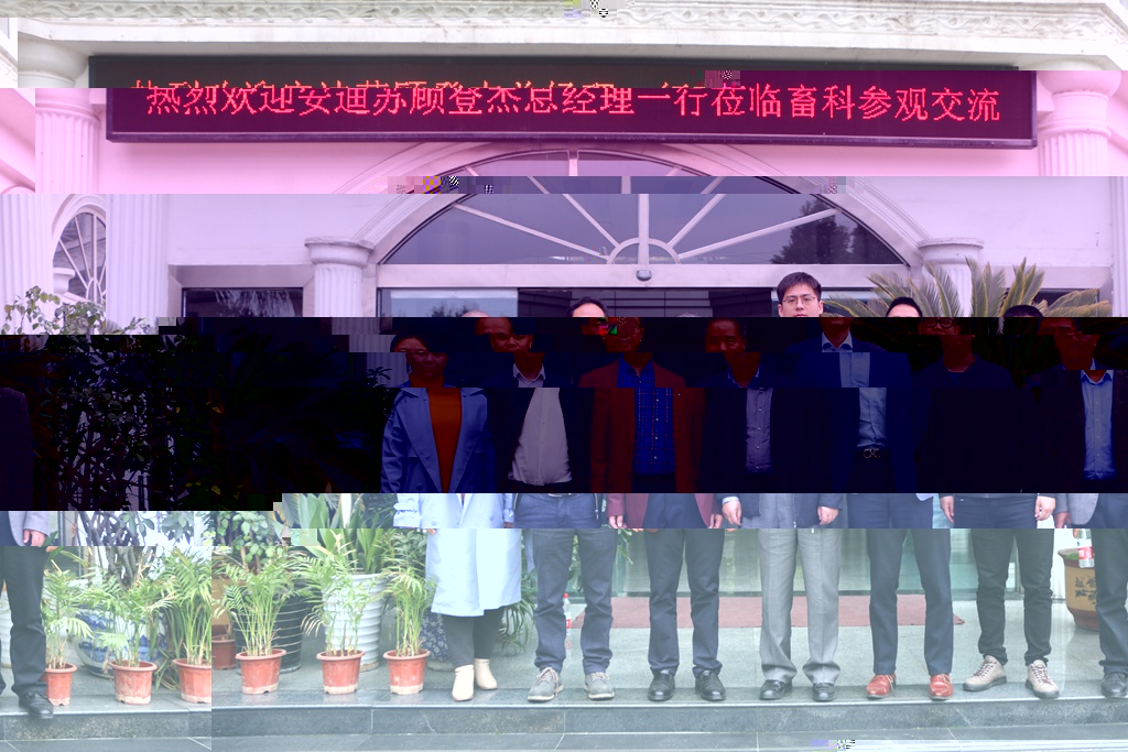news05.jpg