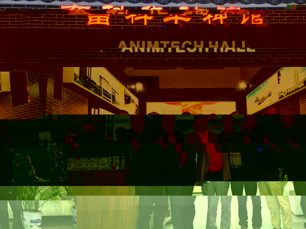 news09.jpg