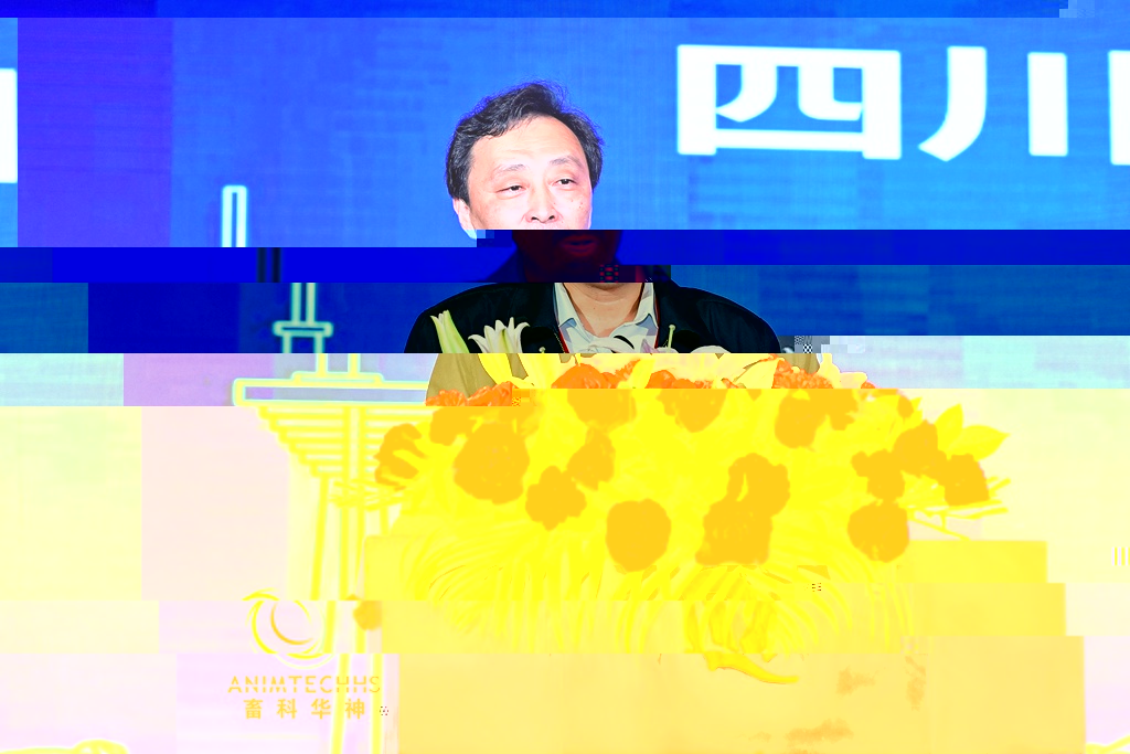 news10.jpg