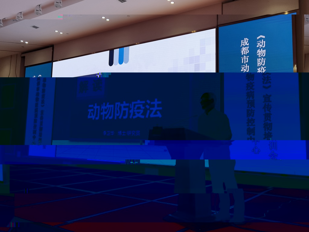 news04.jpg