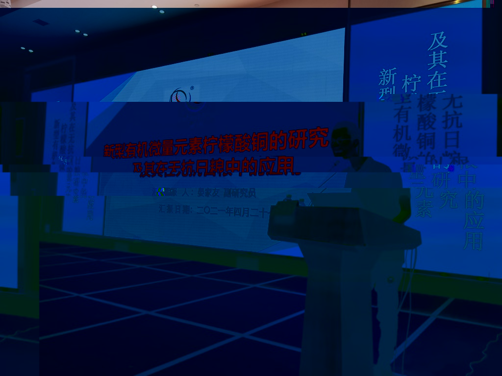 news05.jpg