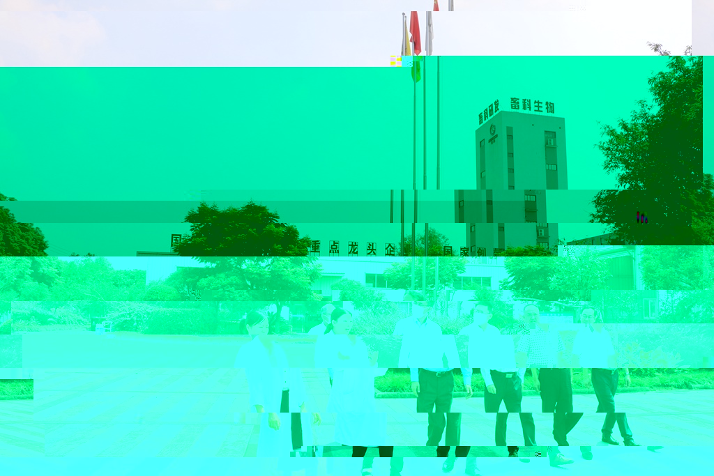 news04.jpg