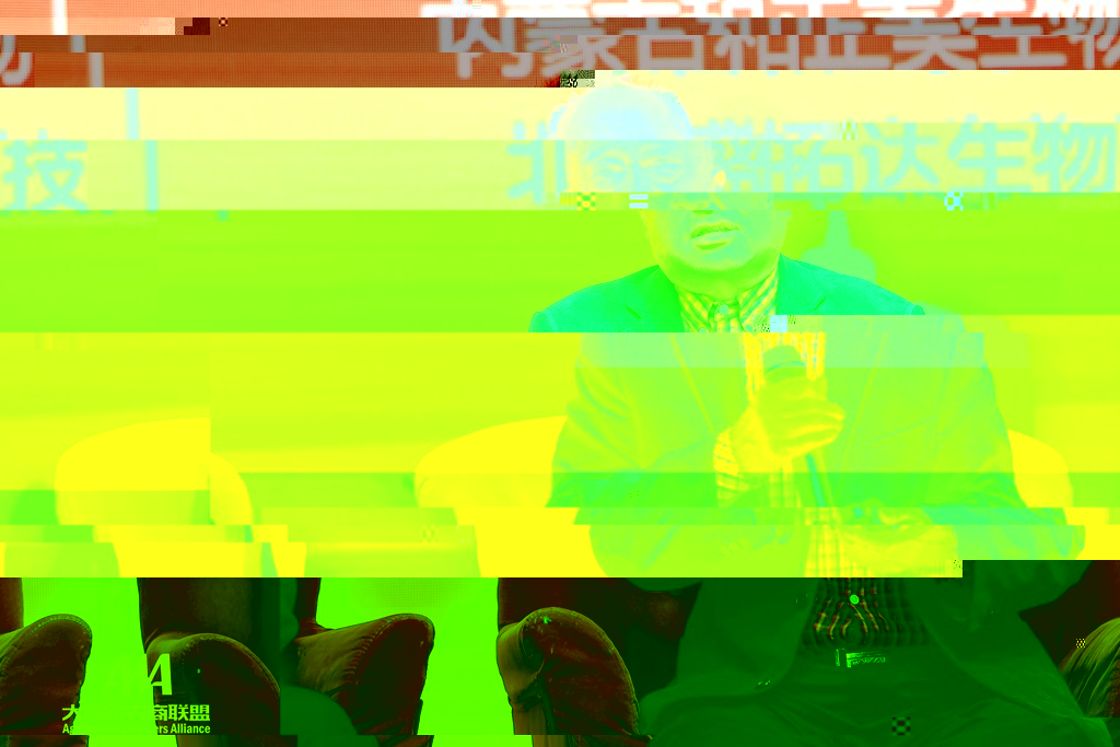 news08.jpg