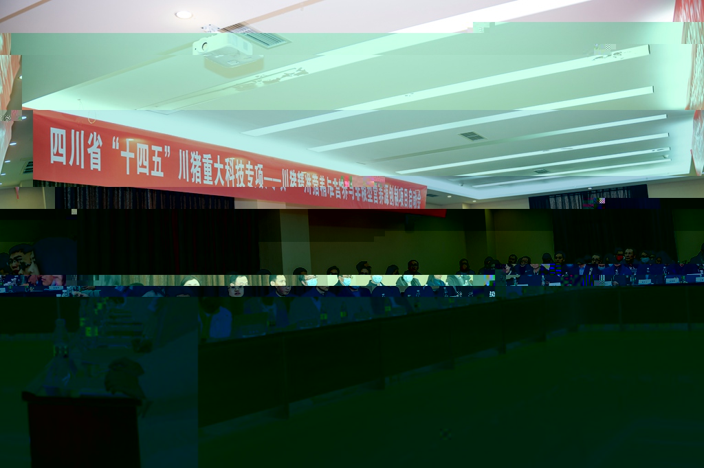 news01.jpg