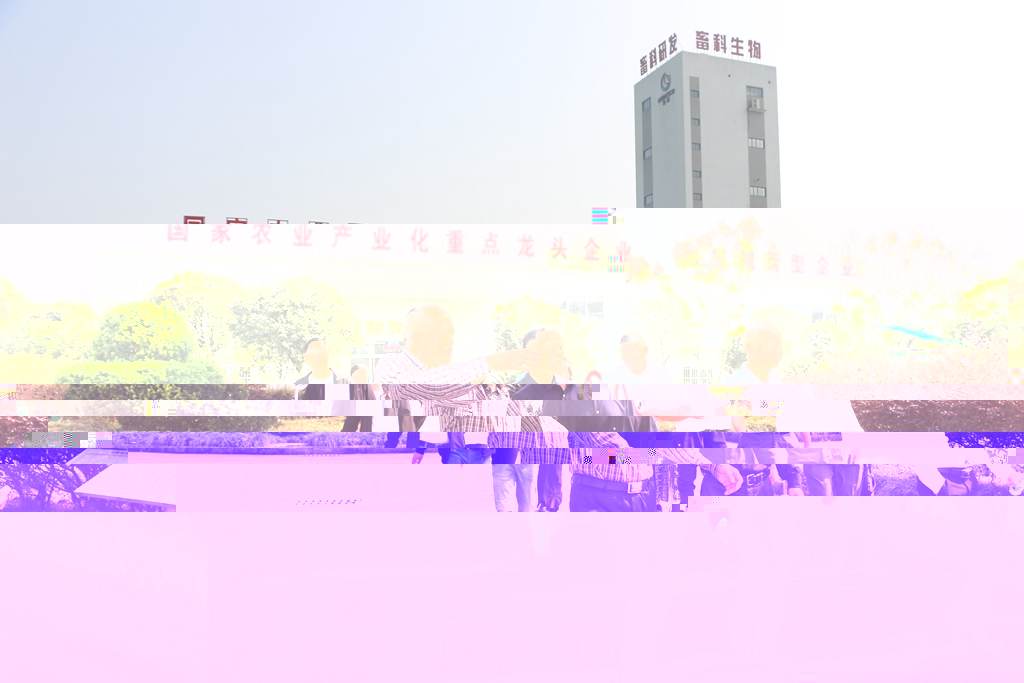 004.jpg