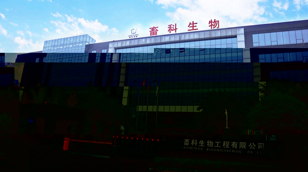 news03.jpg