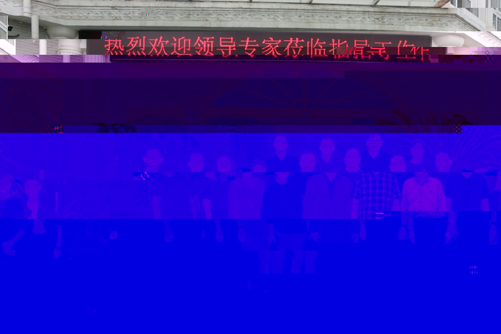 news01.jpg