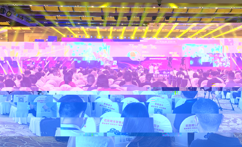 news01.jpg