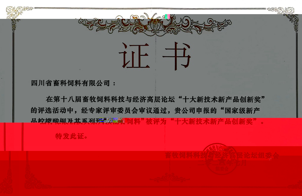 news04.jpg