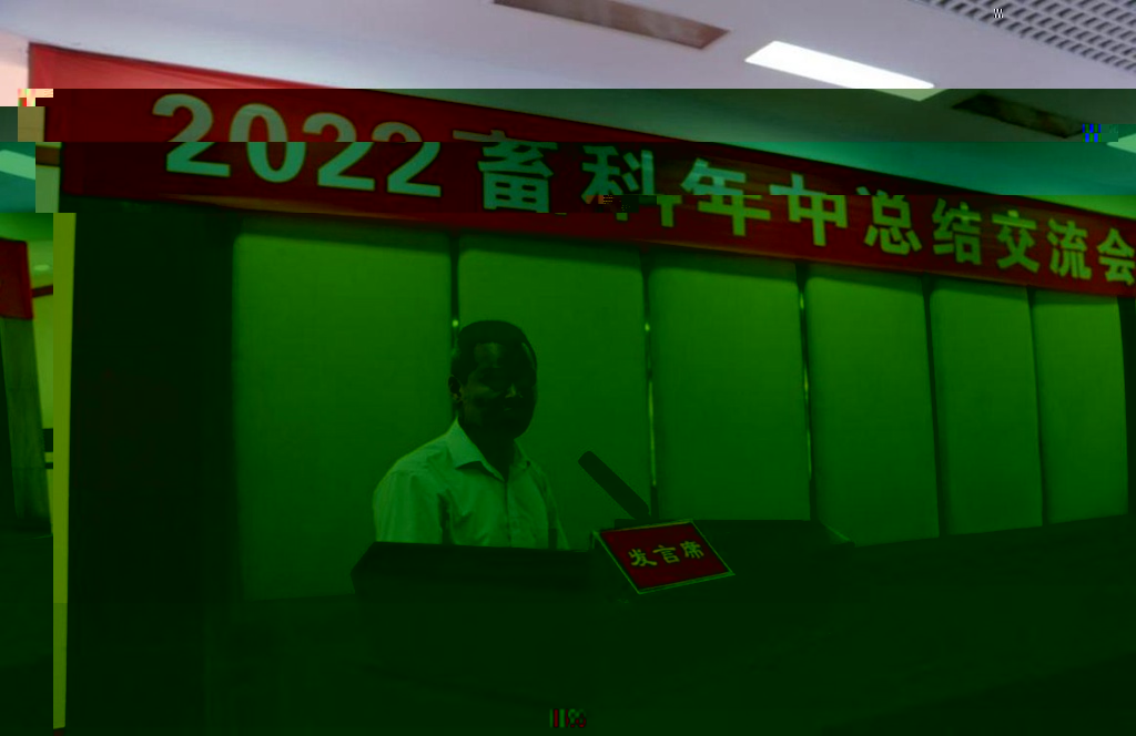 news04.jpg