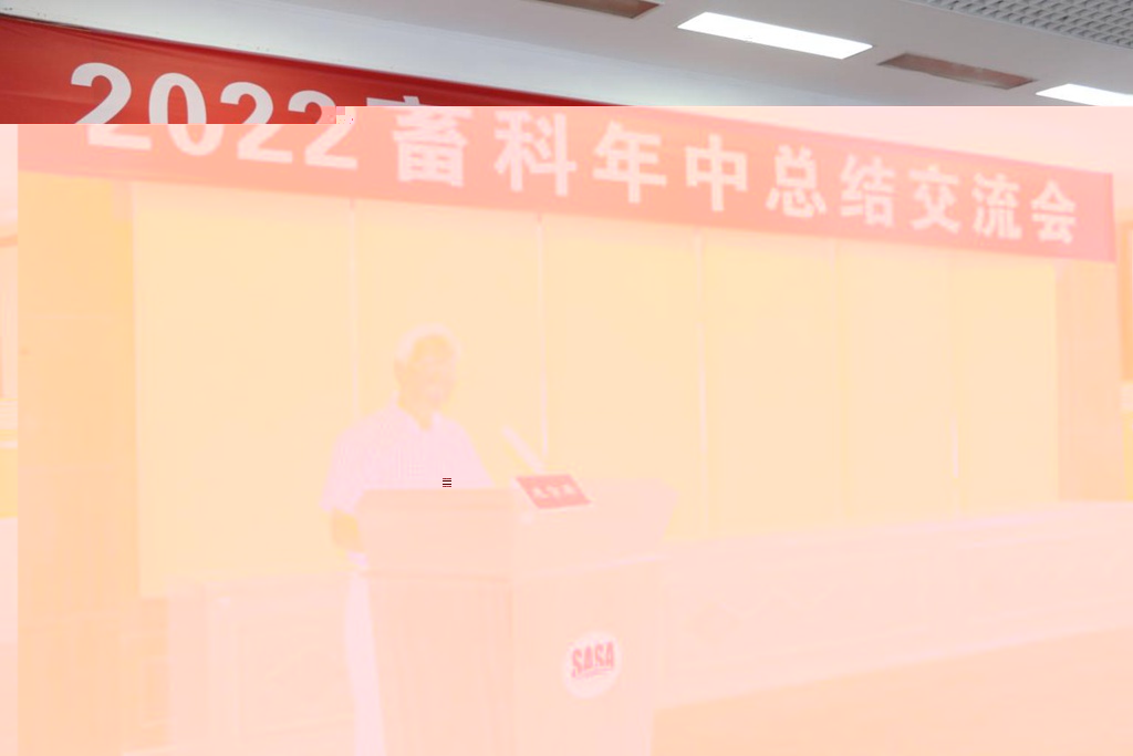 news05.jpg