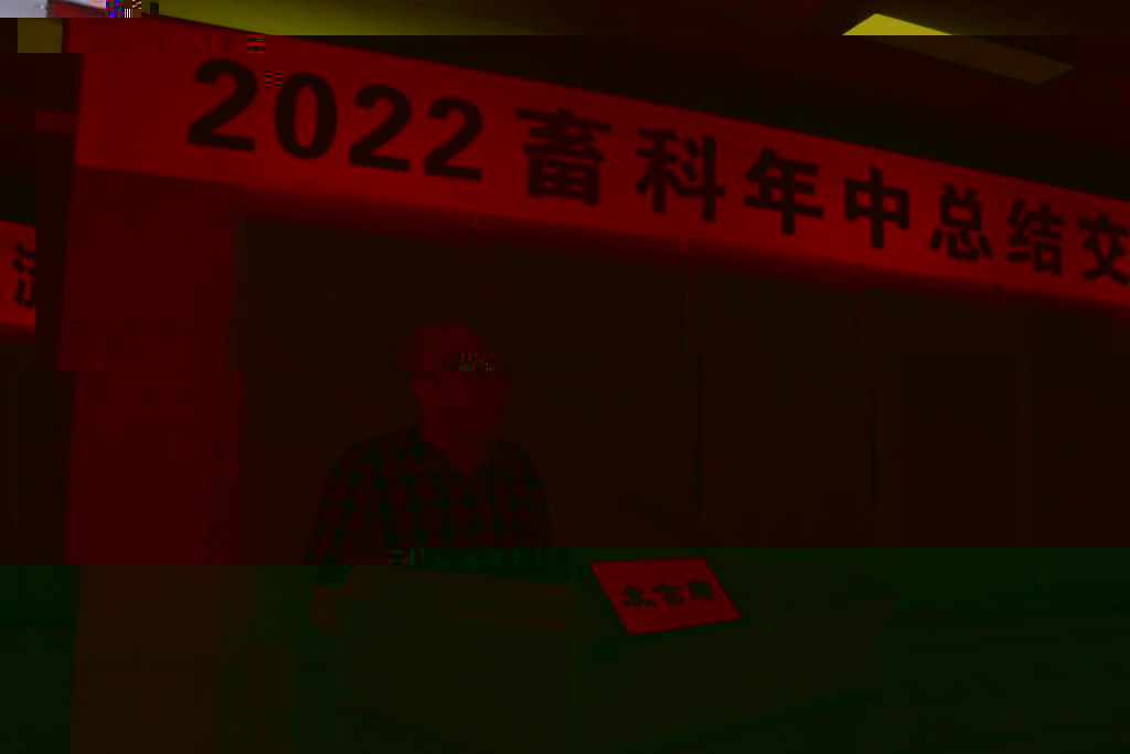 news06.jpg