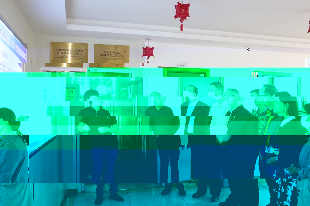 news05.jpg