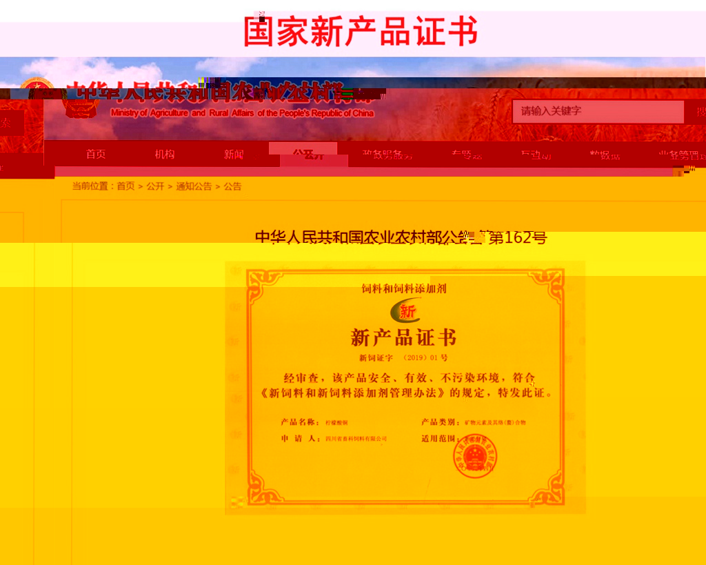 news000.jpg