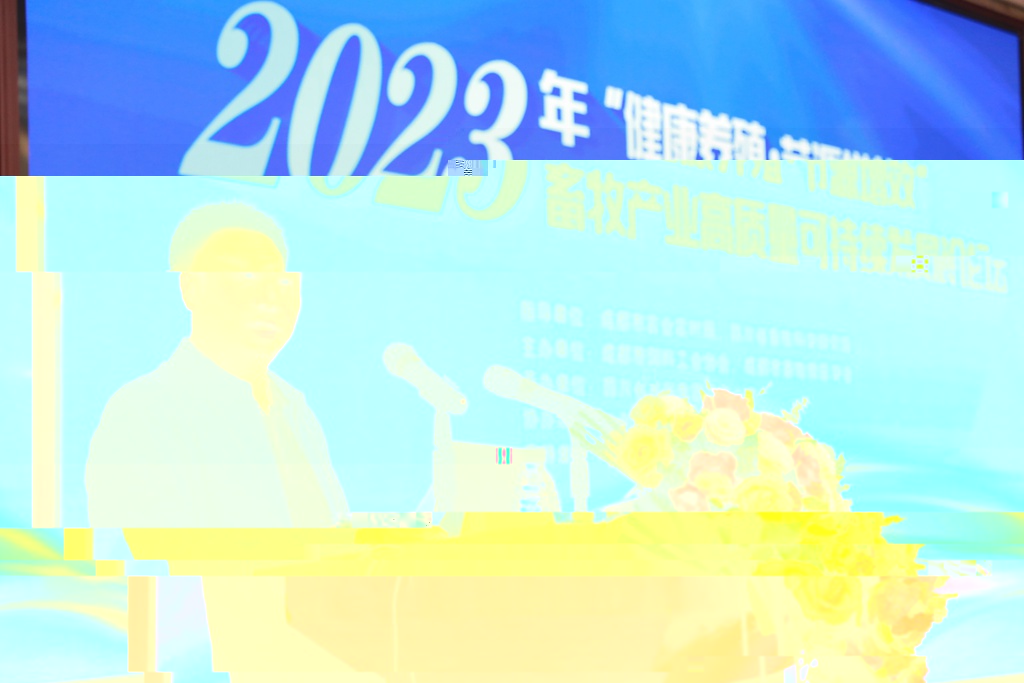 news07.jpg
