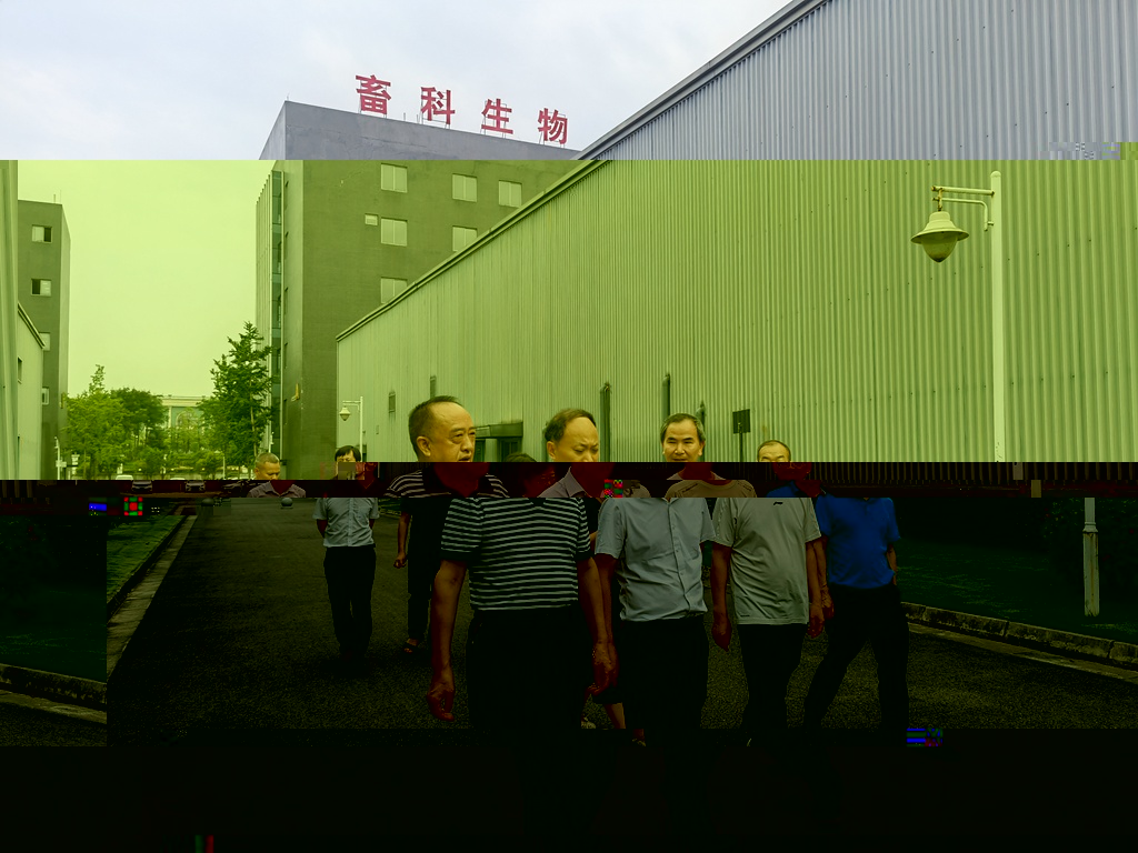 006.jpg